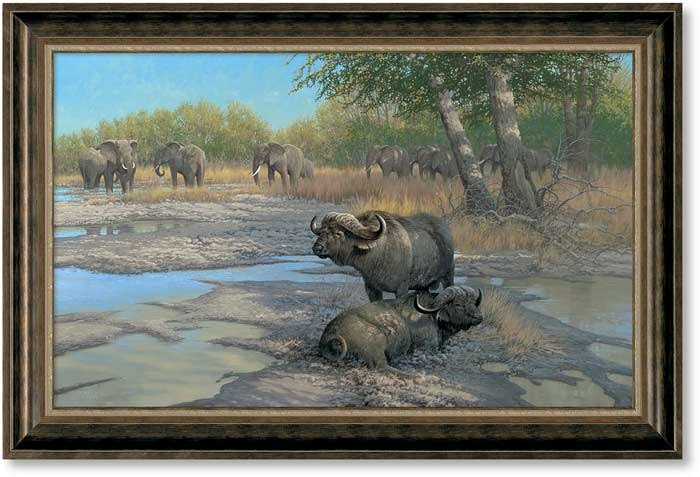 BEAUTY PARLOR - CAPE BUFFALO - UN FRAMED - LIMITED EDITION GICLEE ON CANVASS BY MICHAEL SIEVE - 24 X